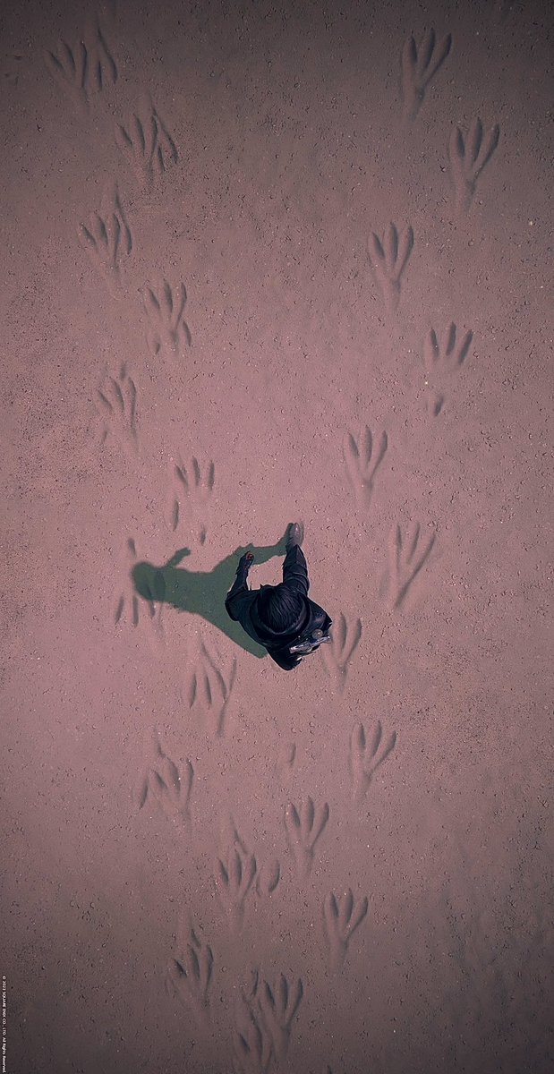 krix_tina's tweet photo. #TCCInBetween #TheCapturedCollective // #FF16 #FINALFANTASYXVI #FFXVI #FinalFantasy16 #VGPUnite #VGPNetwork #VirtualPhotography #ThePhotoMode #WorldofVP #ArtisticofSociety https://t.co/q0qFIXBgRv