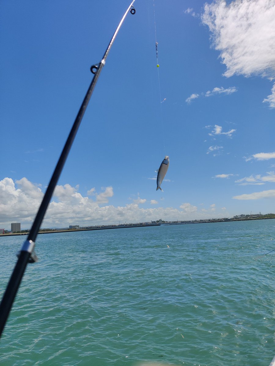 魚釣りしました🎣