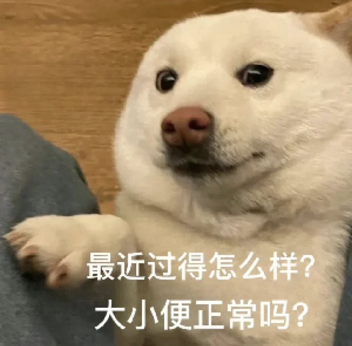 最近過得怎麽樣？ 大小便正常嗎？
啊哈哈哈 廢文 不知道有沒有人看
IG:yq_5_5 https://t.co/iEeq1VkKxf