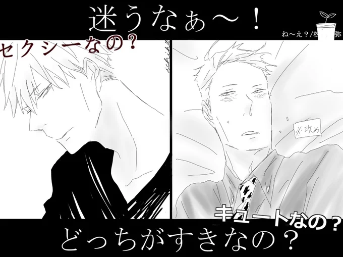 7️⃣ミさんで。 