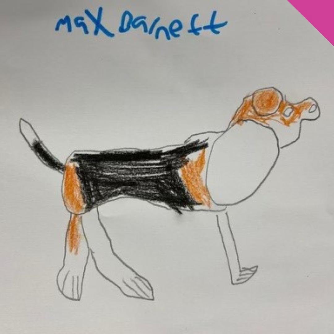 DABDuk's tweet image. Fun and Learning in Full Swing! Delight to share some photos from our #HAF Program. Scroll and check out these heartwarming moments as we make every day a special one for them! #HAFProgram #LearningThroughPlay #CommunitySupport
#DABD #enablingindependance