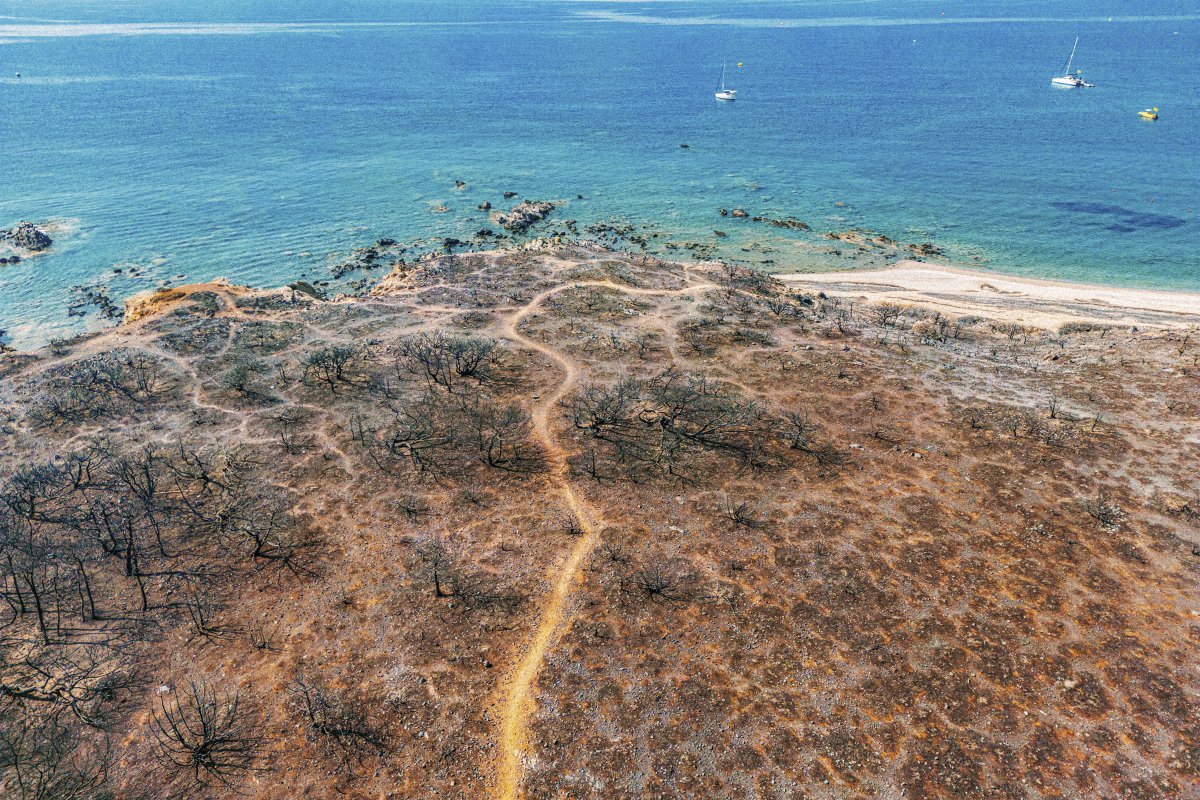 Postkort fra Rhodos: Intet sted opleves skovbrandene mere fjernt end på et all inclusive-hotel få kilometer fra flammerne.

Om sammenstødet mellem klimakrise, turisme og menneskets behov for sommerflugt.

Med verdens bedste <a href="/sonjafuru/">Sonja Furu</a> i <a href="/weekendavisen/">Weekendavisen</a>

weekendavisen.dk/node/66886830/…