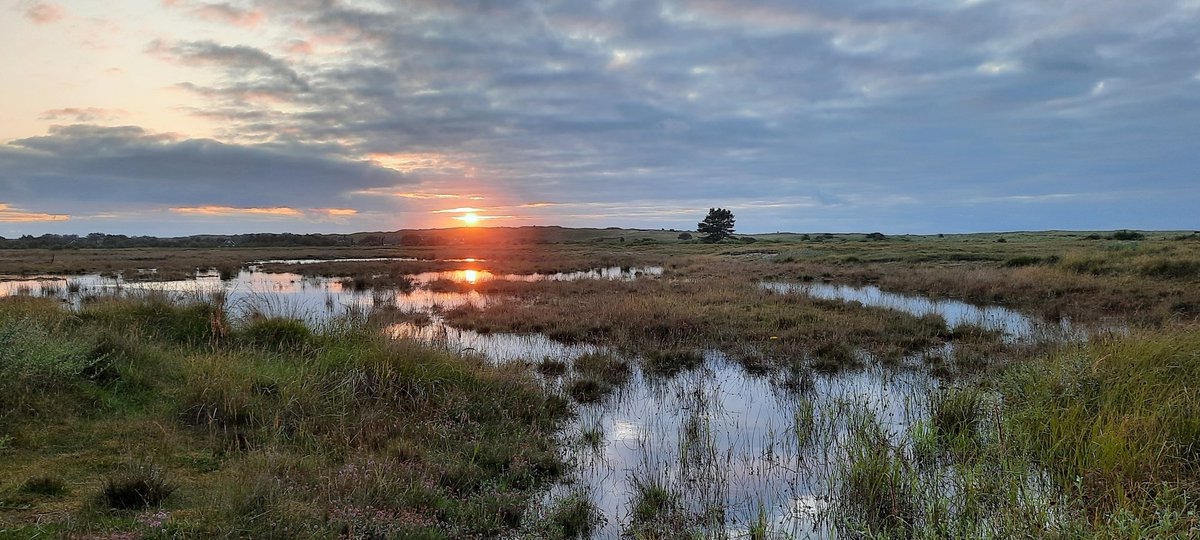 WNapBaukema's tweet photo. Een ommetje #JanRoepesheide @parckoudenburg vennen goed gevuld met regenwater, zon knipoogt over Engelsmanduun #dopheide in 't laatste zonlicht, een mooie #zonsondergang #zomer #Ameland #sunset #heide #natuur #mooieluchten https://t.co/dt0mDATsRq