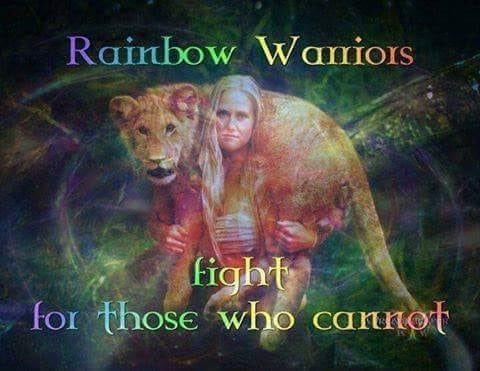 Taz_zie's tweet photo. @LakotaMan1 This variation is the one I hold onto. We need to stop treating other animals & our planet like commodities, to be used & abused. #WarriorsoftheRainbow https://t.co/ancLOCkfQ8
