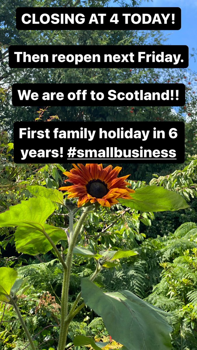 grind and groove record shop tweet media