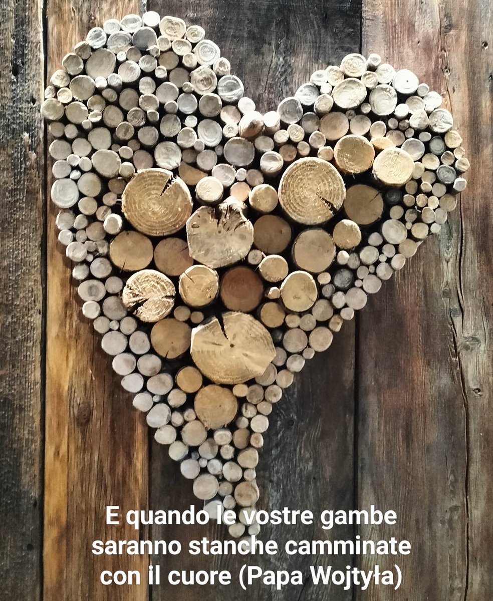 Dianora Tinti (@tintidianora) on Twitter photo 