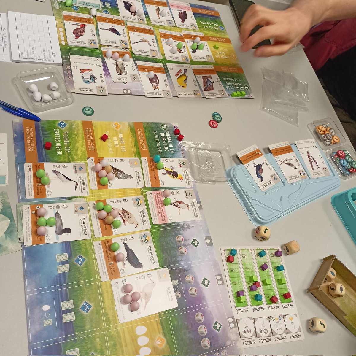 Ludo Pinocchio tweet media