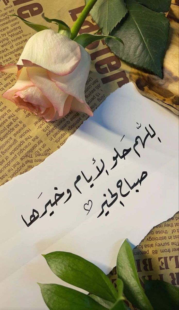 gehanal30828362's tweet image. 