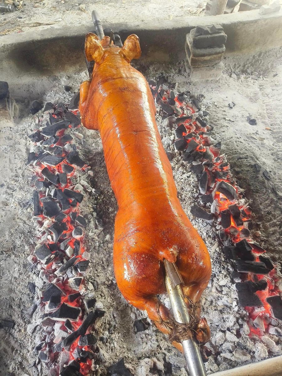 Prom_Ivoire's tweet photo. Le virus de la peste porcine africaine
a été découvert à Soubré, suite à une enquête épidémiologique.

Notons que Ce virus est inoffensif pour l’homme https://t.co/vn3jyIpdj8