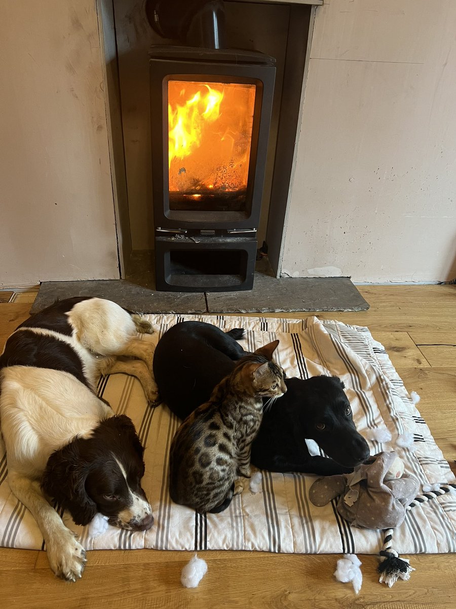 August?????? #WritingLife #rainydaysarewritingdays