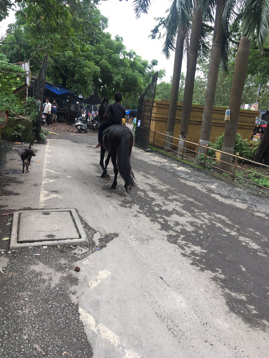 Gabbar gives up and is running away. Tired of potholes all around the city.  #Mumbai #potholes #Mumbairoads #MumbaiRain #mumbairain #Mumbairain