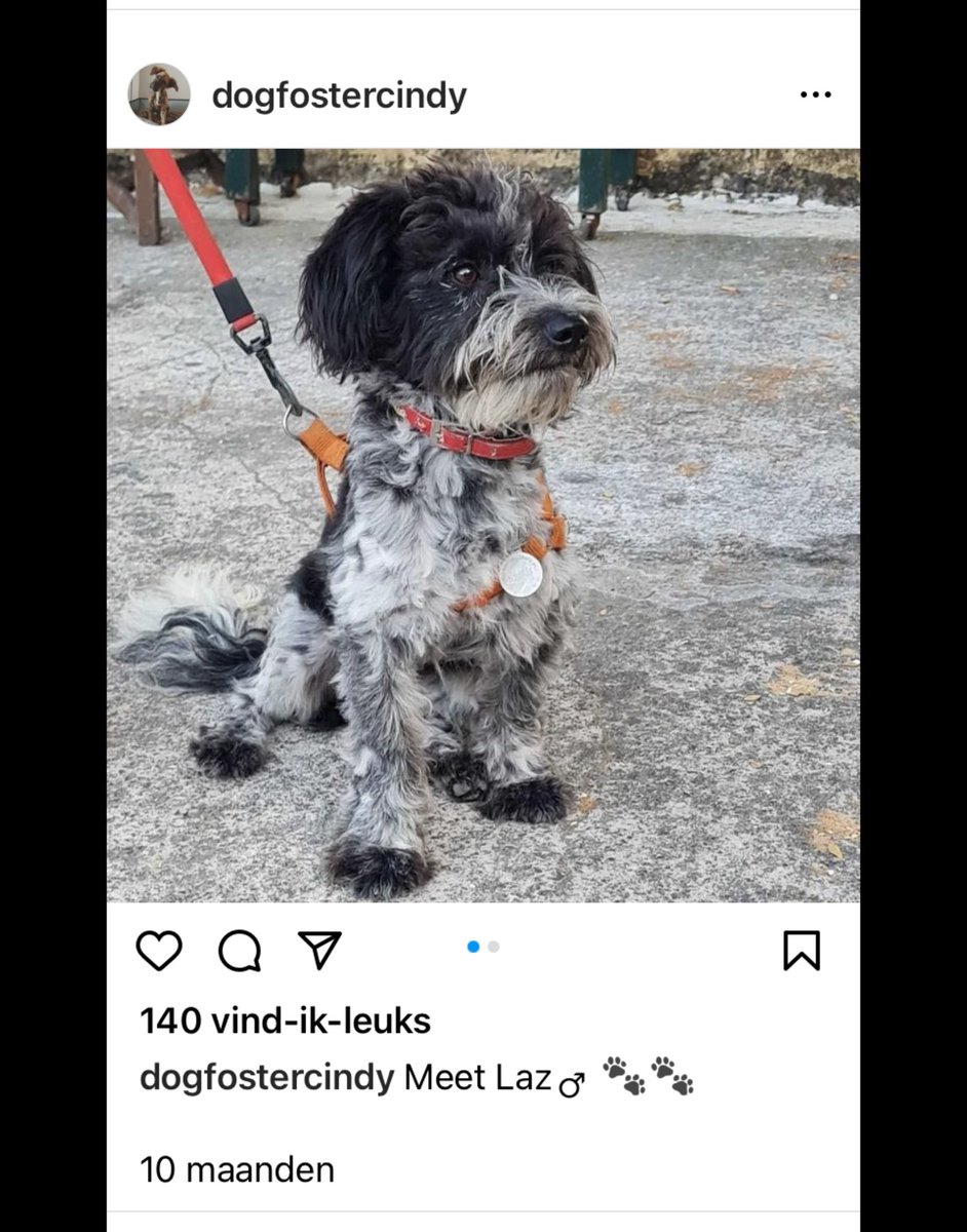 Antoinnette Scheulderman tweet media