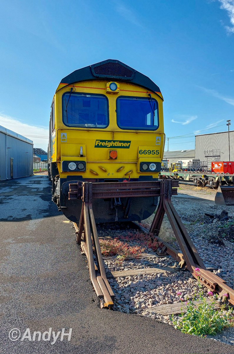 holtona72's tweet photo. Couldn't decide on a favourite angle of @RailFreight 66955 so here's all 3.. It's #ShedSaturday taken on 29/6/23 at Leeds Midland Road depot. Back when there was the promise of some sunshine (*it rained most of the following day..π§π). #ShedWatch #FredWatch #Freightliner https://t.co/NsdxF4g3Te