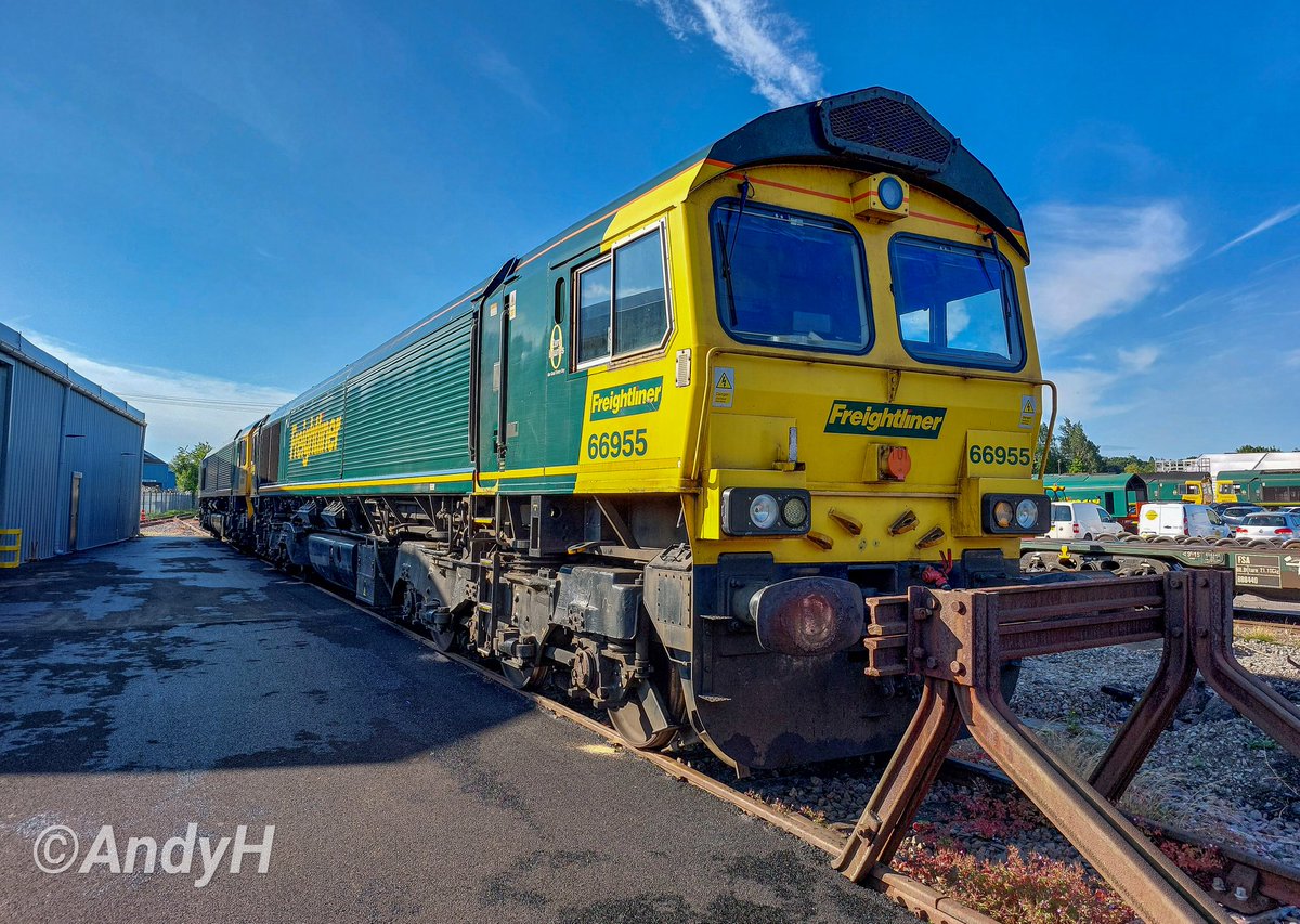 holtona72's tweet photo. Couldn't decide on a favourite angle of @RailFreight 66955 so here's all 3.. It's #ShedSaturday taken on 29/6/23 at Leeds Midland Road depot. Back when there was the promise of some sunshine (*it rained most of the following day..π§π). #ShedWatch #FredWatch #Freightliner https://t.co/NsdxF4g3Te