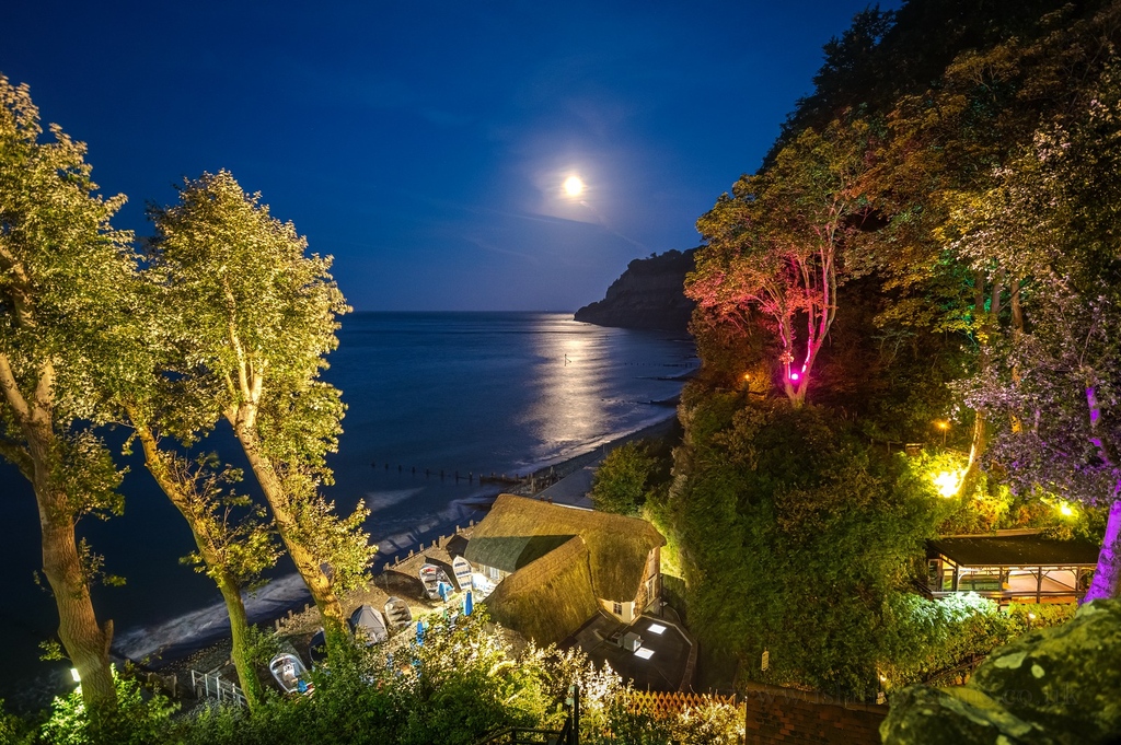 A magical scene ✨⁠
⁠
📌 Shanklin Chine 
📷️ Island Visions Photography⁠
⁠
#explorebritain #england #capturingbritain #visitengland #visitisleofwight #exploreisleofwight #amazing #stunning #beach #incrediblephoto #picoftheday #ocean #shoreline #ShanklinChine #magical