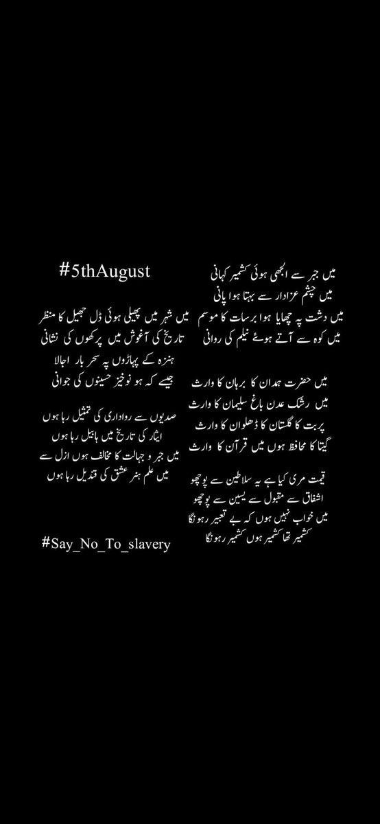 _kasheer's tweet photo. Youm-e-Istehsal 🍁🖤

#YoumeIstehsal #Kashmir https://t.co/CEflYxdKEJ