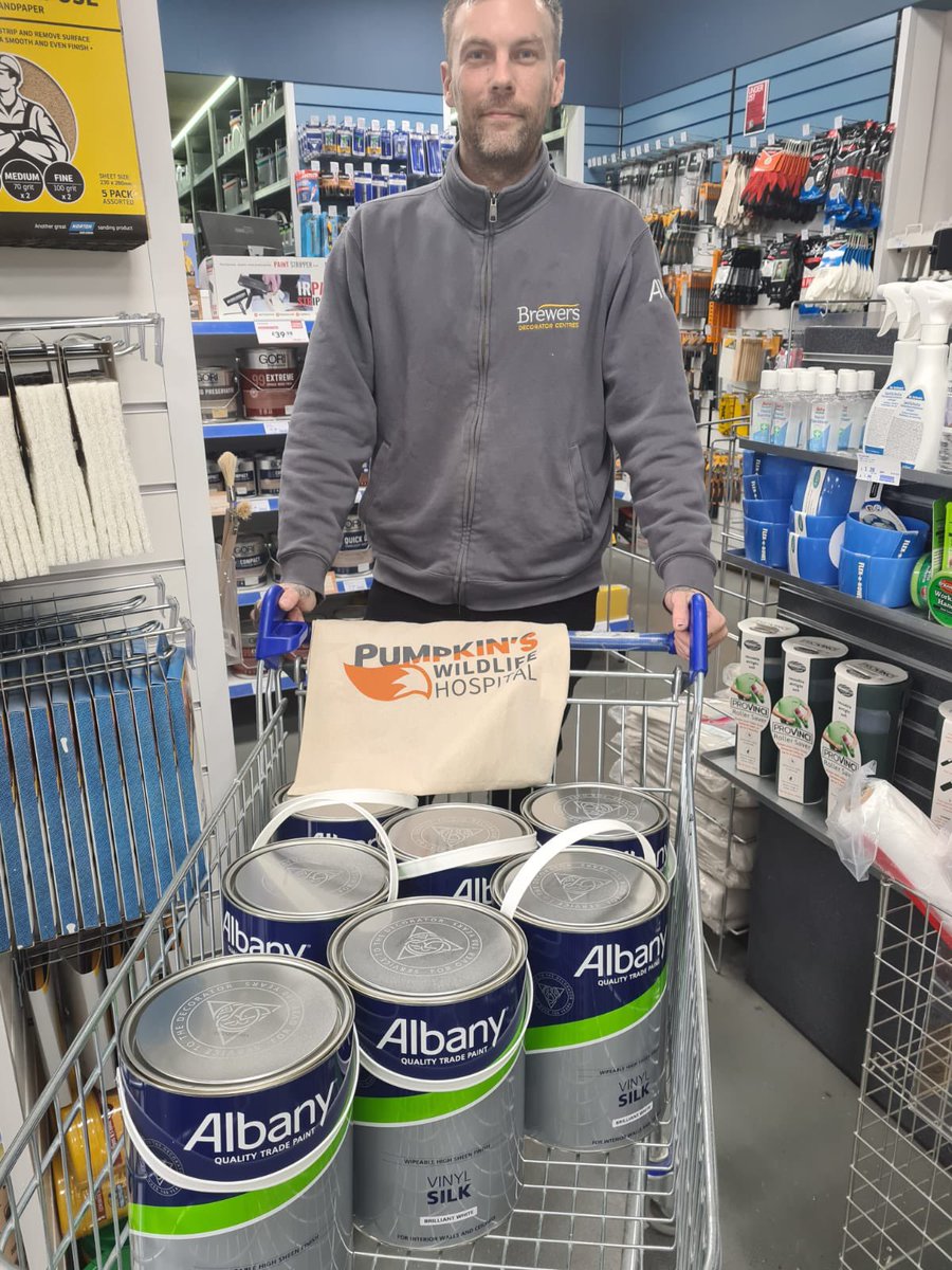 Pumpkin’s Wildlife Hospital tweet media