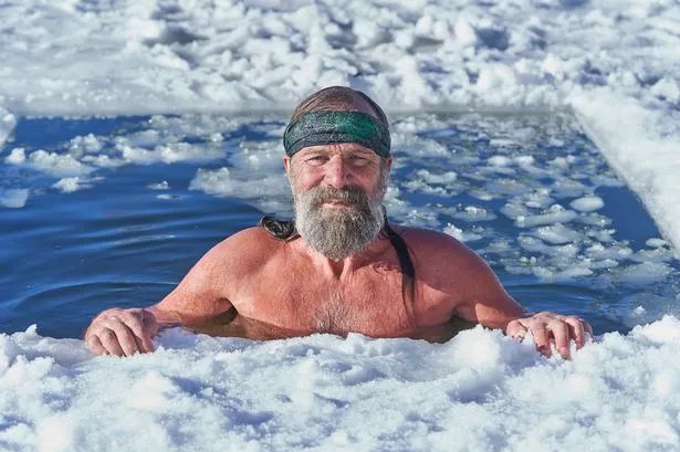 TradingTA0's tweet photo. "Revitalize your body and mind with cold water! 💦❄️ Enjoy increased alertness, improved circulation, and a refreshing start to your day. #ColdWaterBenefits #Revitalize" https://t.co/4XLGsAyPqt