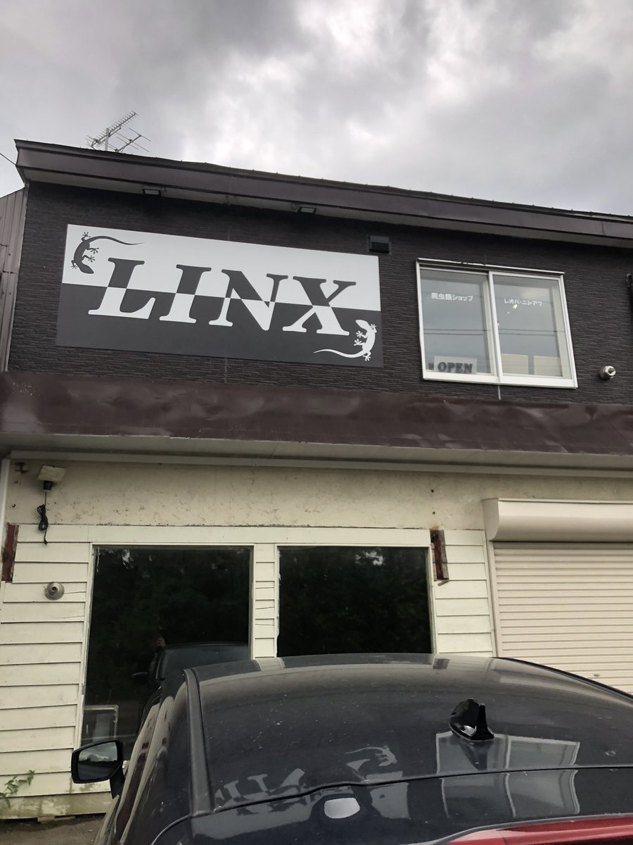 T_albino_Enigma's tweet image. 初めてnative forestとLINXにお邪魔して来ましたー

どっちの店でも小物しか買って無いけど色々お話し相手して頂きありがとうございました😭

北レプ前なので財布の紐が硬くてすみませんでした😅

#nativeforest
#LINX
#テラリウム
#爬虫類