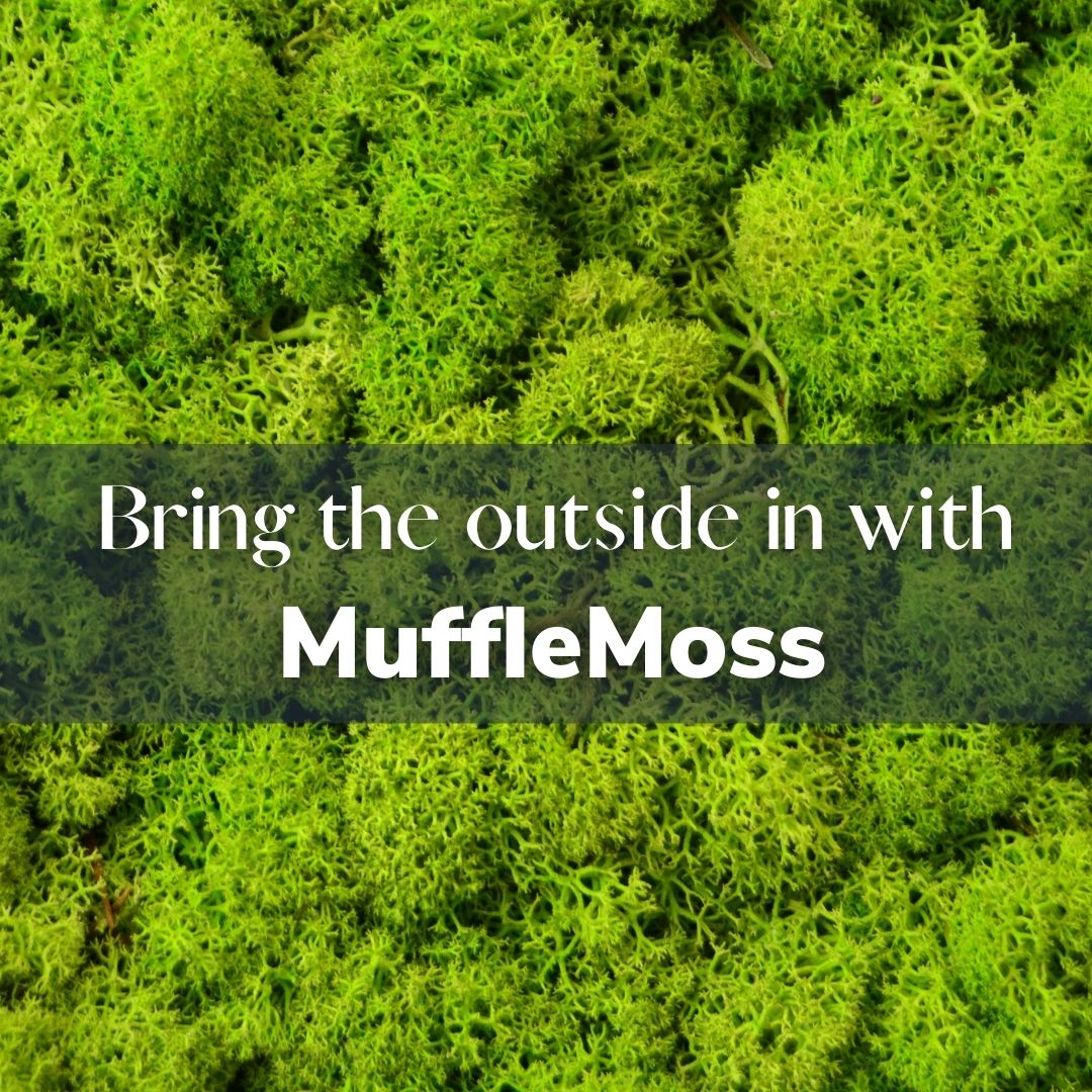 muffleacoustics's tweet photo. Looking for a more natural decor with acoustic benefits?
Bring nature inside with MuffleMoss! Create anything from fantastic natural wall art to full moss wall coverings that transform your space 🌳
https://t.co/sAOOkfgrE5
#acoustictreatment #decorideas #interiordesign2023 https://t.co/RaYsUn6FwU