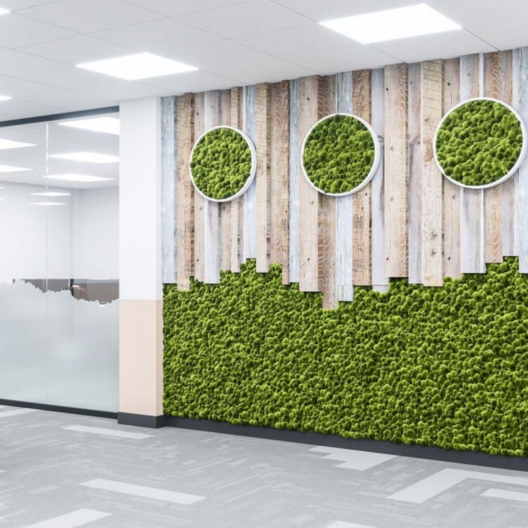muffleacoustics's tweet photo. Looking for a more natural decor with acoustic benefits?
Bring nature inside with MuffleMoss! Create anything from fantastic natural wall art to full moss wall coverings that transform your space 🌳
https://t.co/sAOOkfgrE5
#acoustictreatment #decorideas #interiordesign2023 https://t.co/RaYsUn6FwU