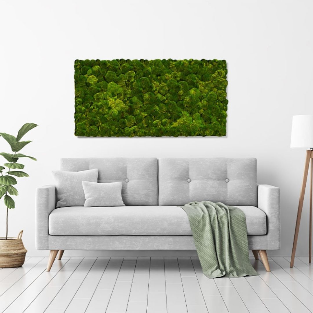 muffleacoustics's tweet photo. Looking for a more natural decor with acoustic benefits?
Bring nature inside with MuffleMoss! Create anything from fantastic natural wall art to full moss wall coverings that transform your space 🌳
https://t.co/sAOOkfgrE5
#acoustictreatment #decorideas #interiordesign2023 https://t.co/RaYsUn6FwU