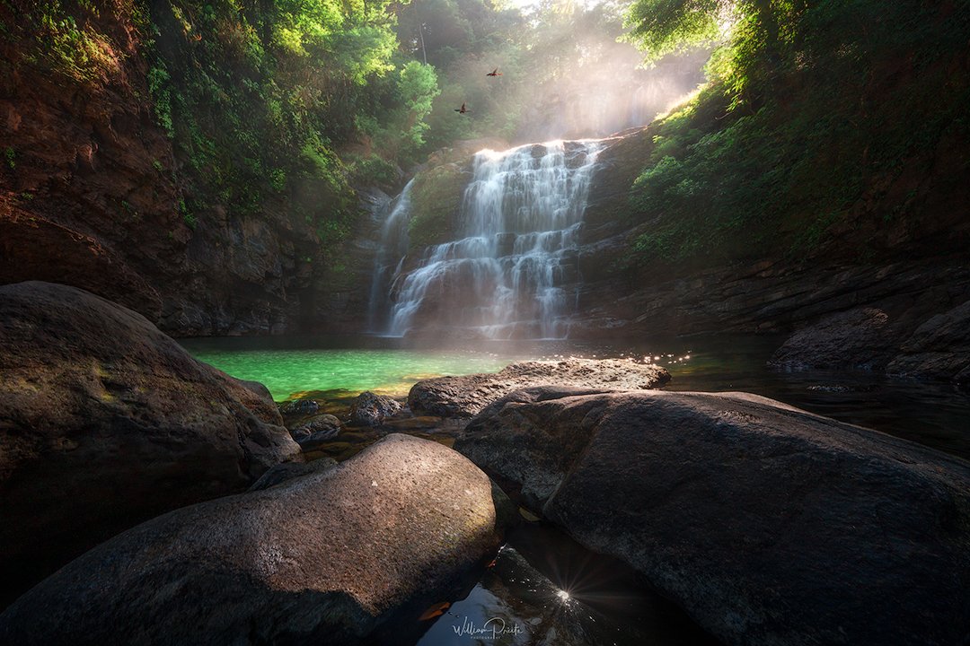 williampreite.eth tweet media