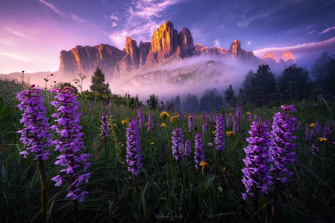 williampreite.eth tweet media