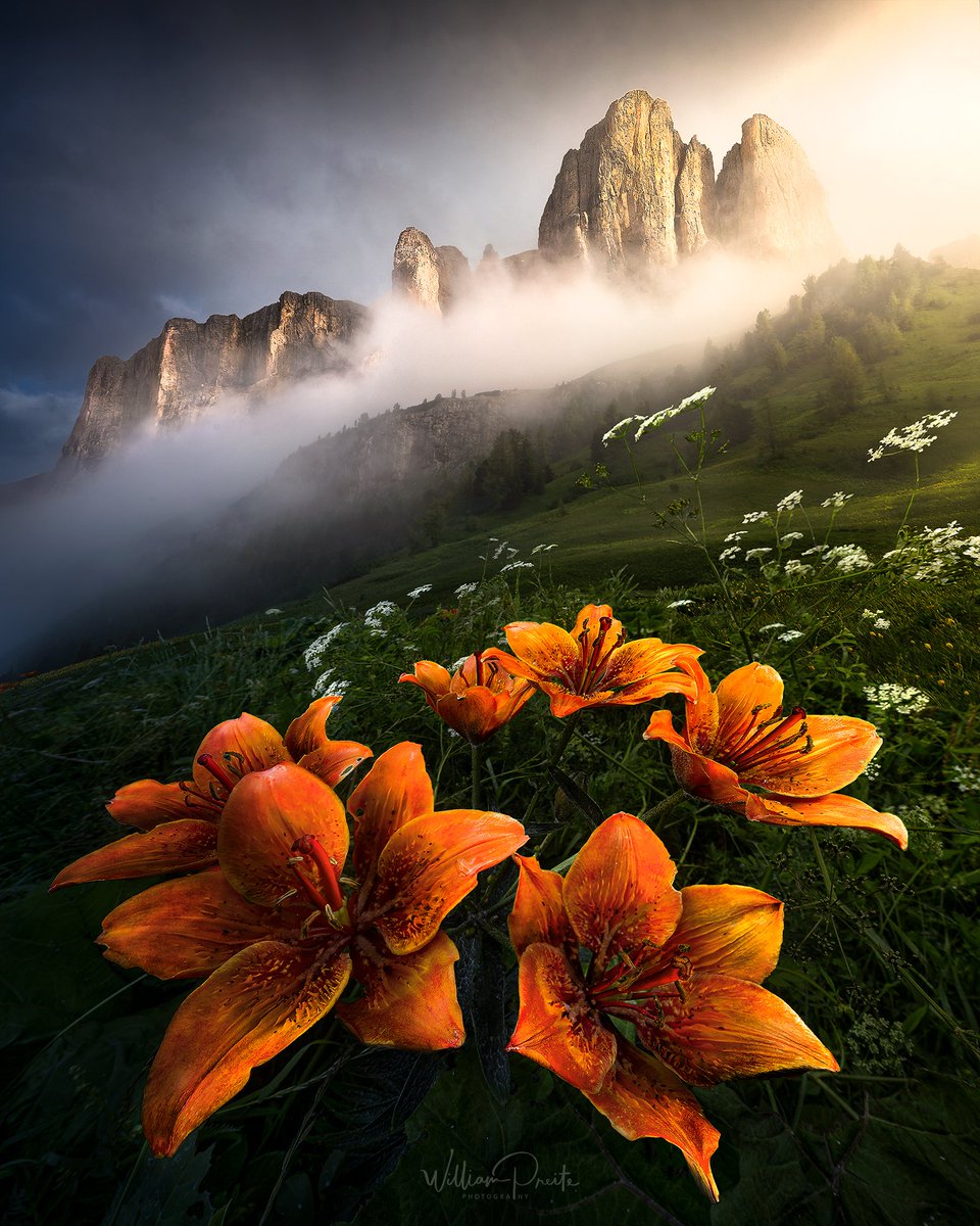 williampreite.eth tweet media