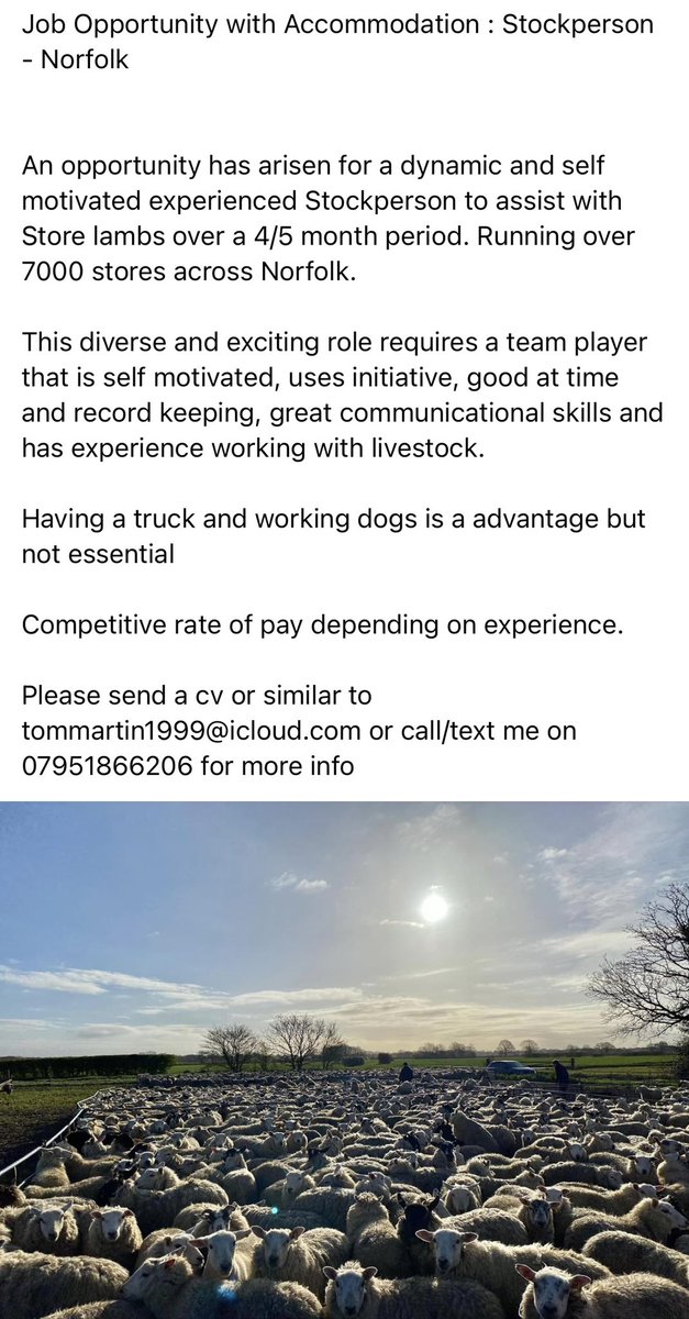 Job Opportunity with Accommodation : Stockperson - Norfolk