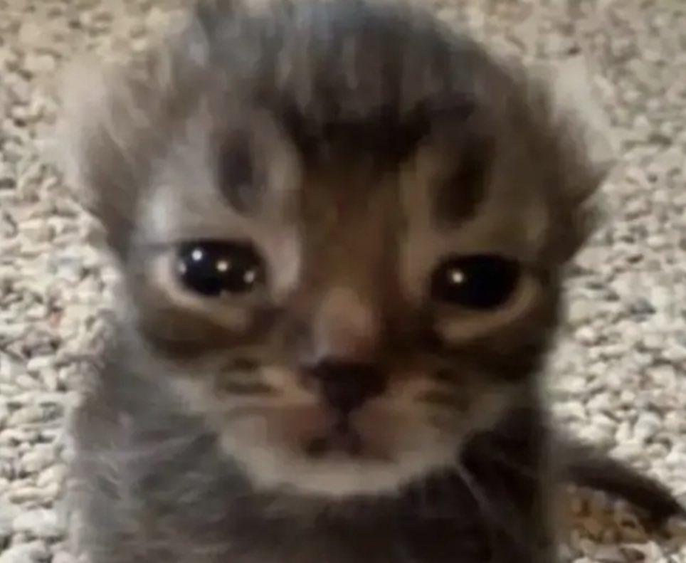 yours. (@hitoguiuta) on Twitter photo 