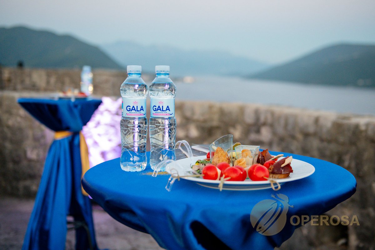 Operosa's tweet photo. Operosa VIP cocktail was held prior to Operosa's jubilee gala concert, where we hosted sponsors, festival donors, diplomats, government representatives, and long-term collaborators. #omof2023 #operosa #vipcocktail https://t.co/4Txt6R8Ptz