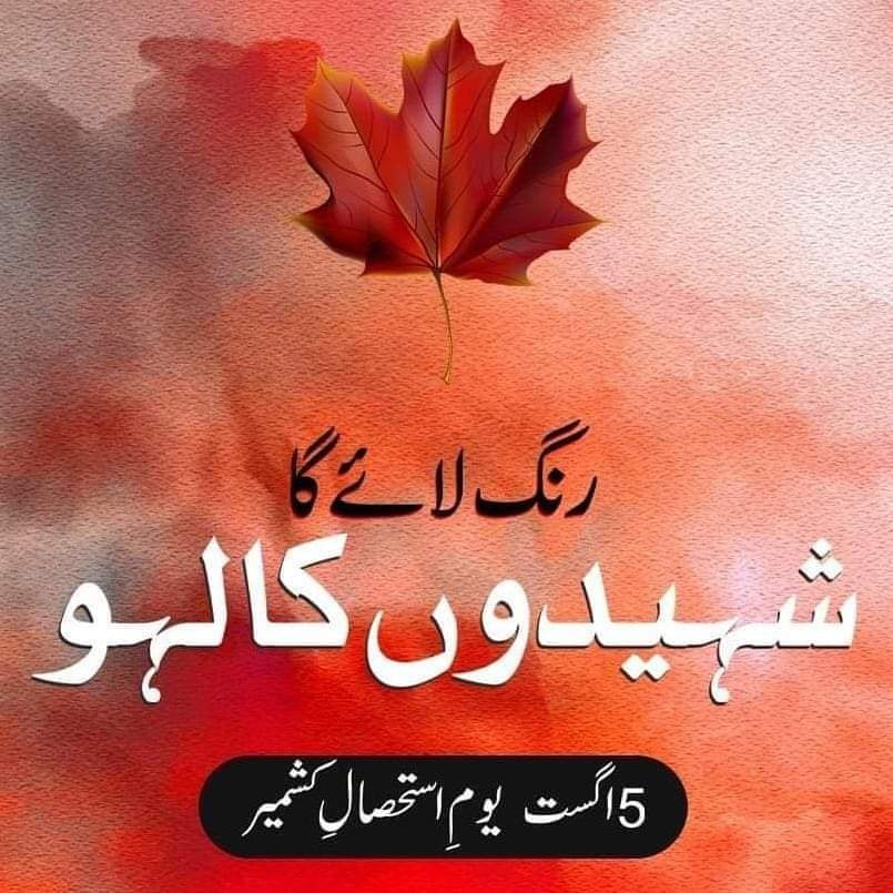 mir_fatimi's tweet photo. #5August #BlackDay #کشمیر #370 https://t.co/AhZmQbFHyY