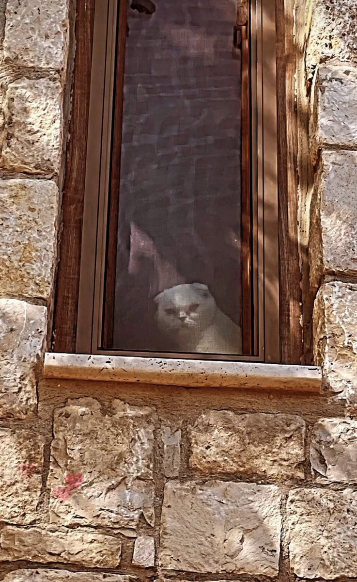 ESKOCYALI (@eskocyali1) on Twitter photo 