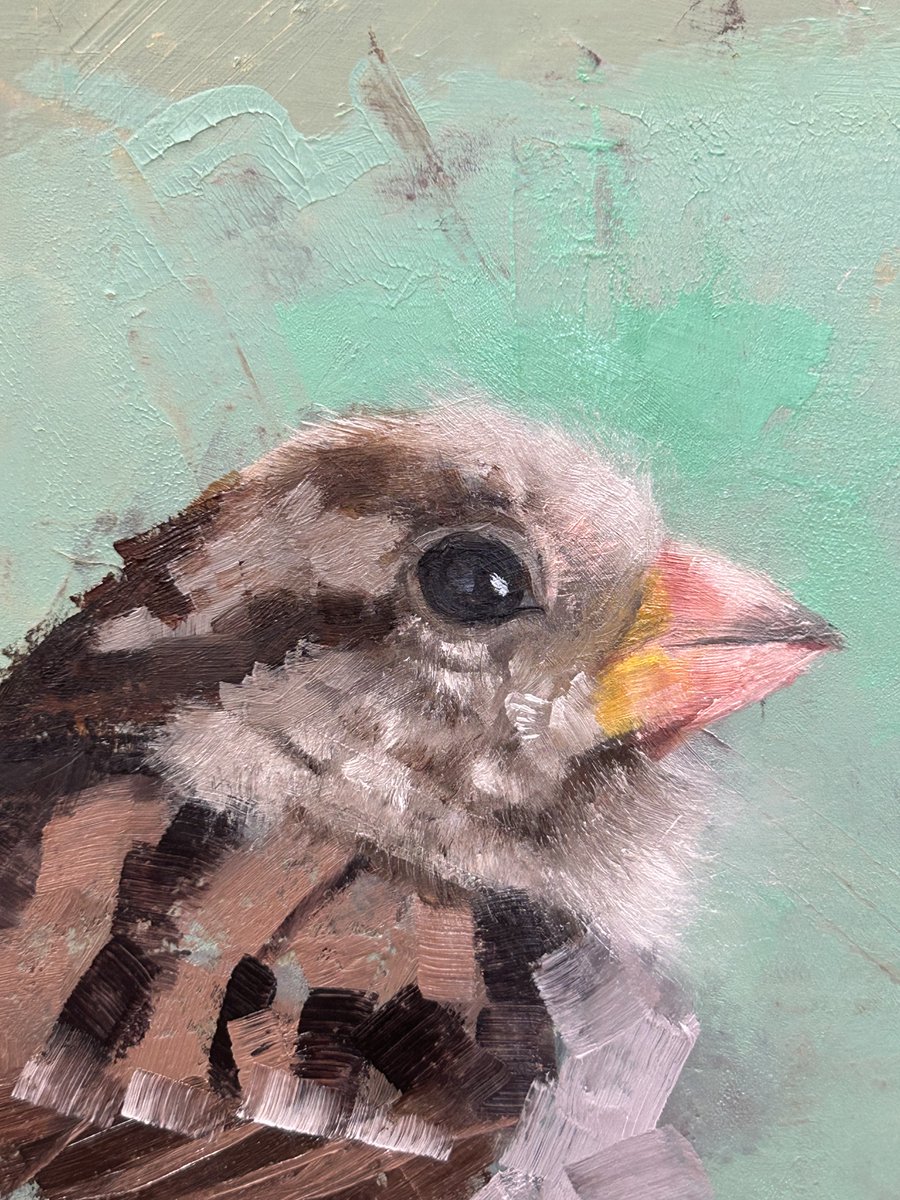 'Punch' face now painted.
He's a lovely little house sparrow, a dreamer, meditator, sun lover.
He sits happily sunning himself on the fence.
3 of 4 garden bird painting
