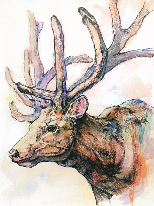 「deer」 illustration images(Latest)｜4pages