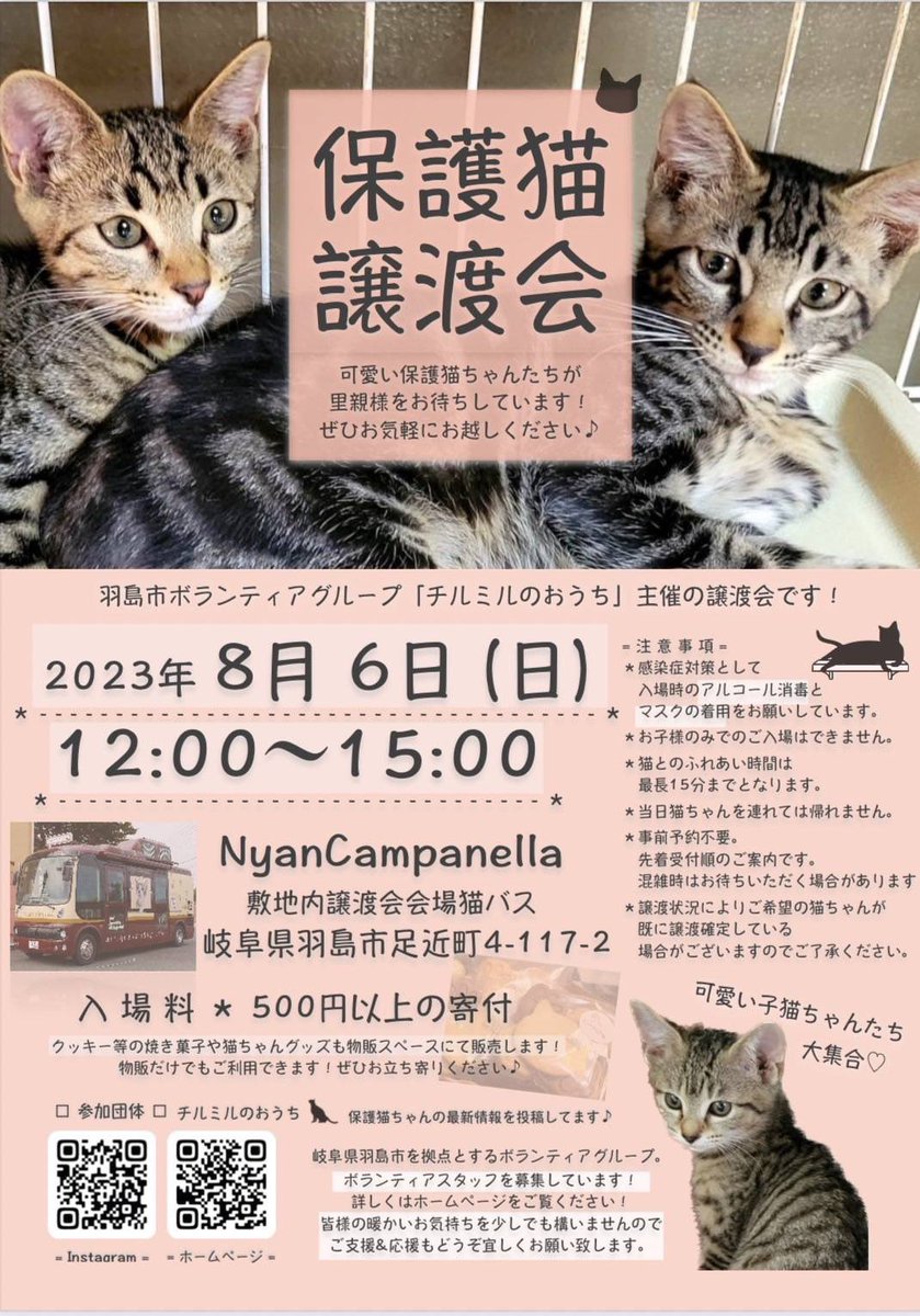 hinatabocco_k's tweet photo. #拡散RT協力お願いします 
保護猫達が素敵な出会いを待っています🙏💕 https://t.co/BtquZtq4ZM