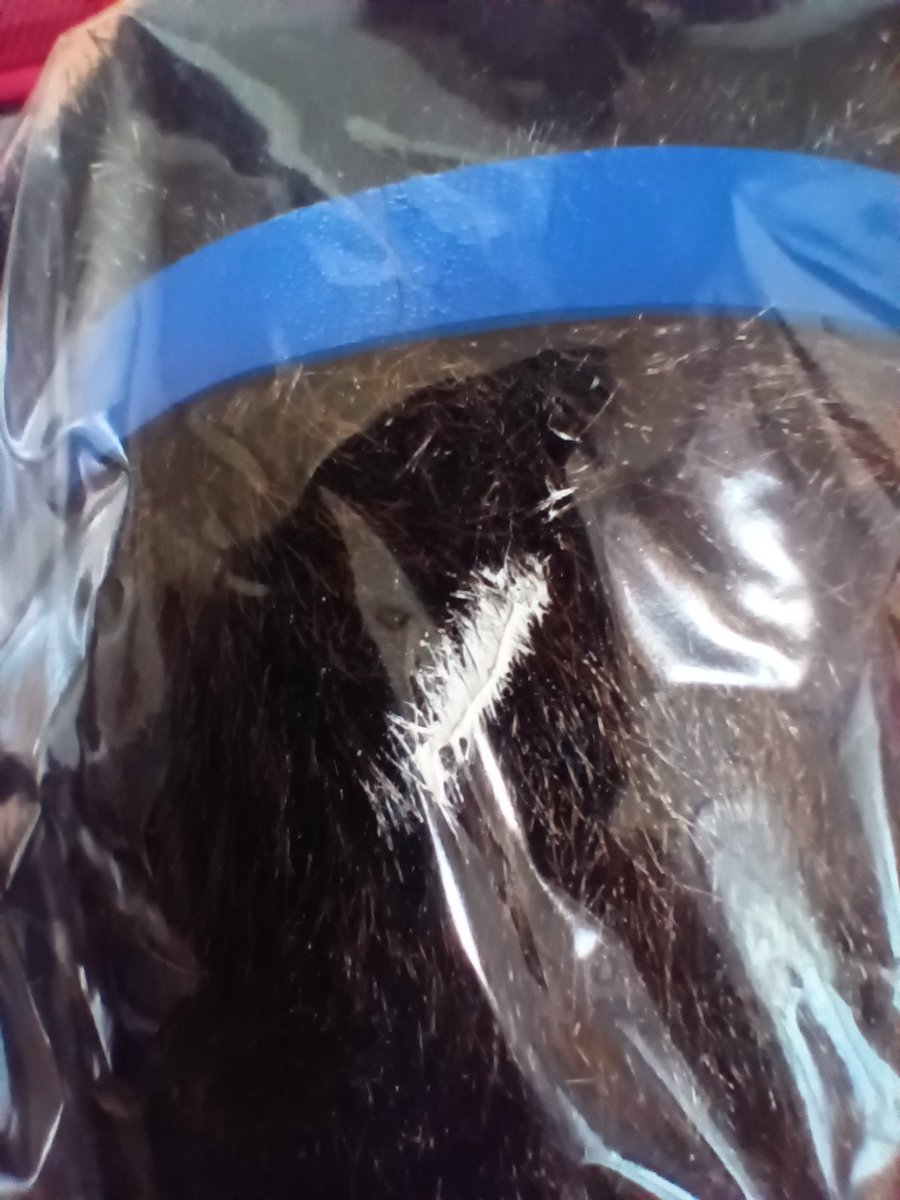 8300円でこの雑さはダメでしょ…