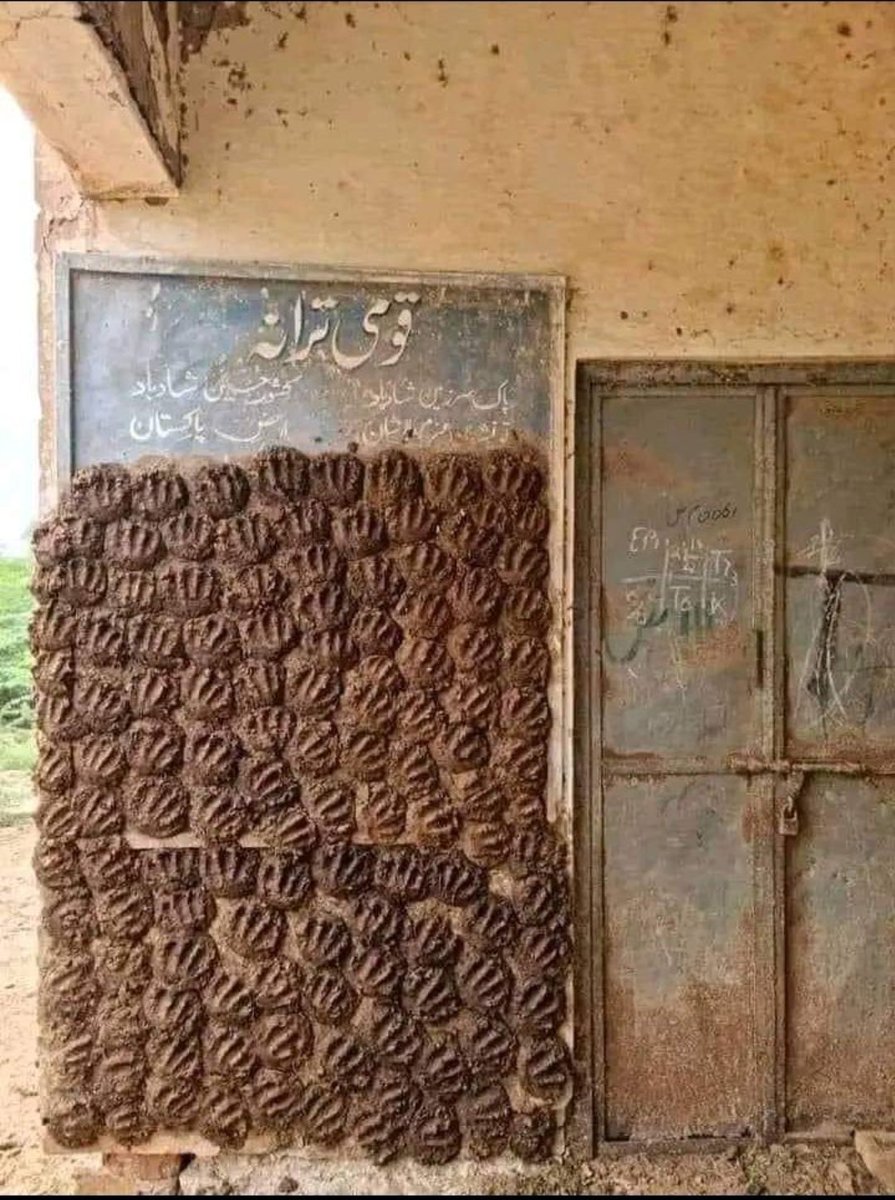Hafeez7172's tweet photo. #پر_امن_ملک_گیر_احتجاج
#دلاور_کی_جانبداری_نامنظور 
#ImranKhan #BebindYouSkipper 
#KashmirDay #BlackDay https://t.co/1xb4aLKyGw