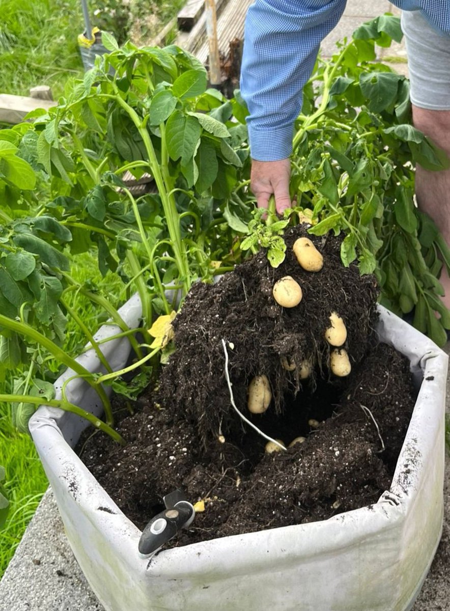 Simon Clarke 🌈💙 tweet media