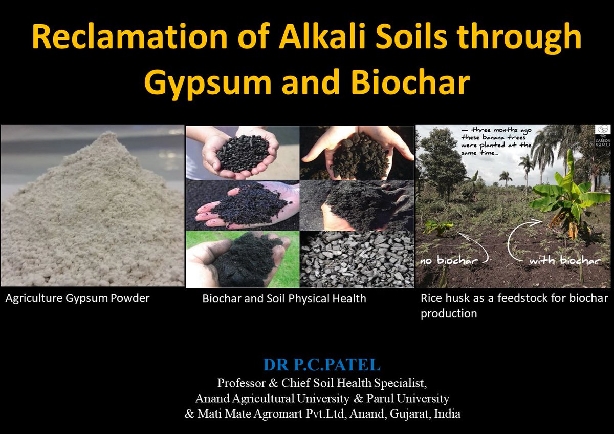 Reclamation of Alkali Soils through Gypsum and Biochar
My YouTube: youtu.be/Tae7UIXBXKQ