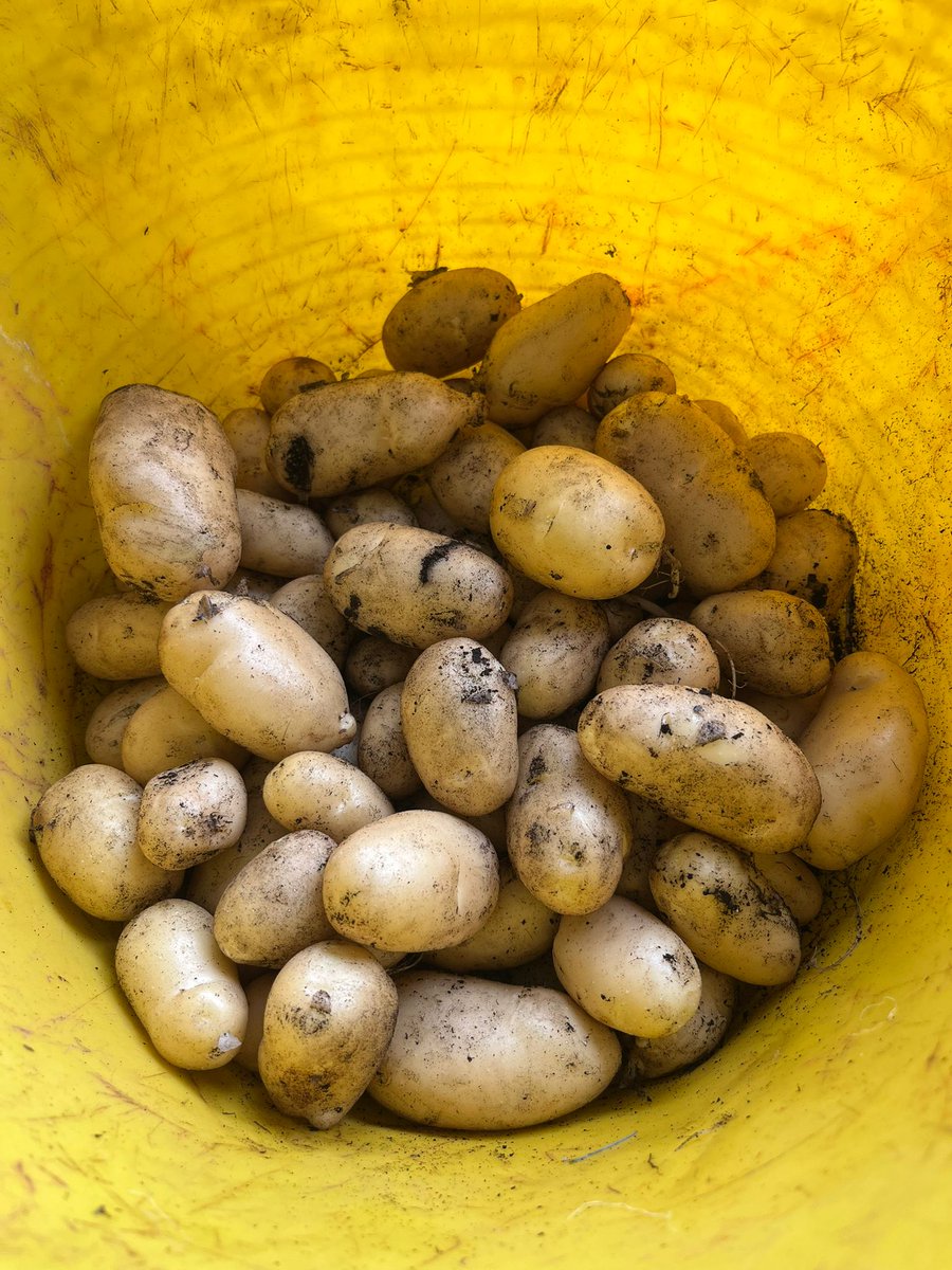 Simon Clarke 🌈💙 tweet media