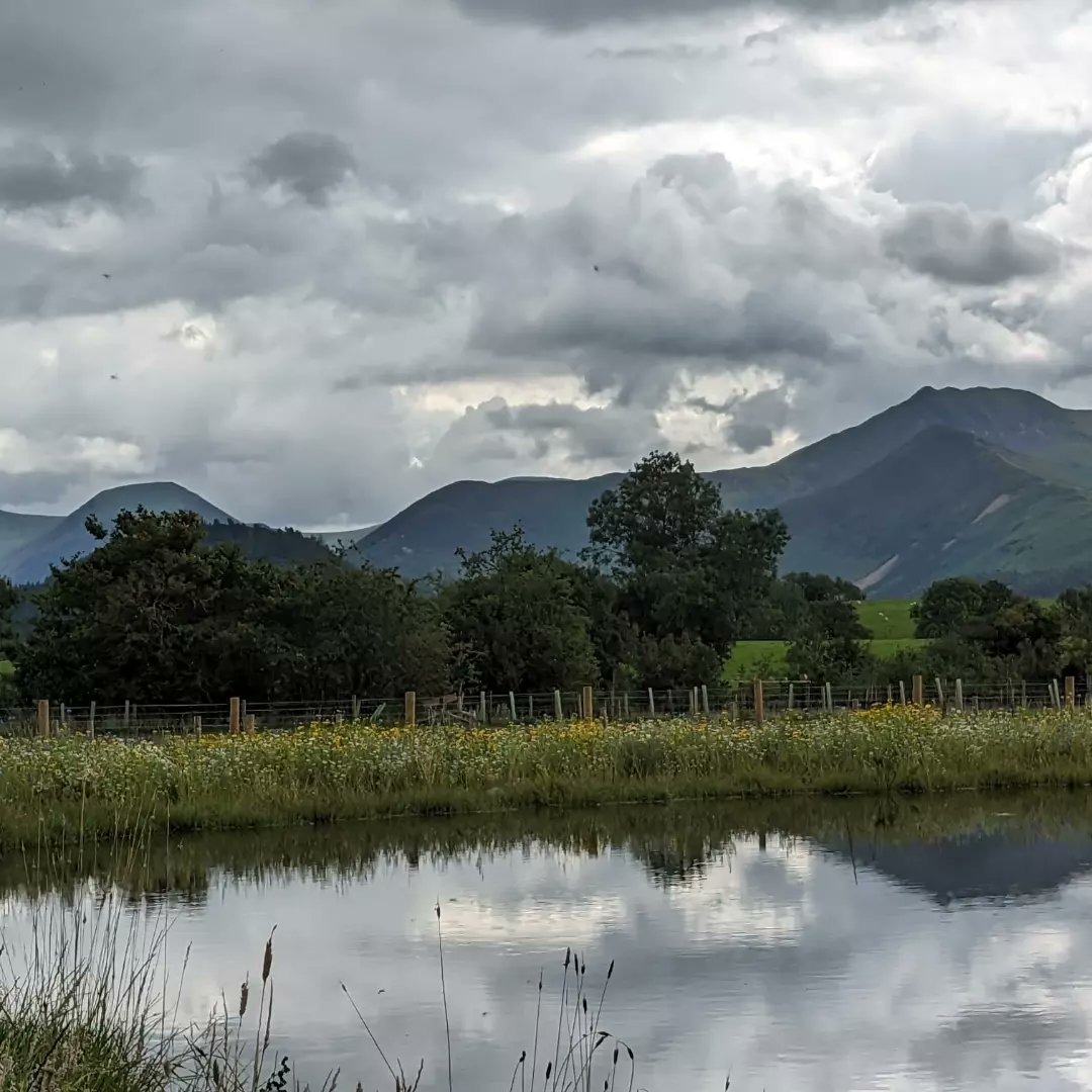 Joe Saxton tweet media