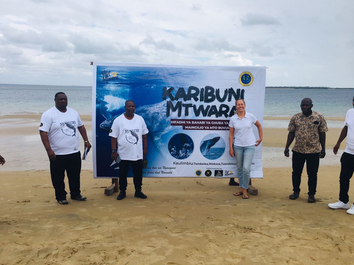 ParksReserves's tweet photo. Launching Whale Watch Season at Msimbati Beach-Mtwara #zururachallenge #whale #SimbaDay2023 https://t.co/3ITYYPgcSL