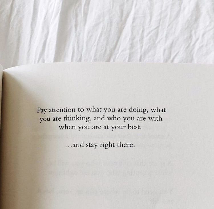 thebookshelf_zm's tweet image. 