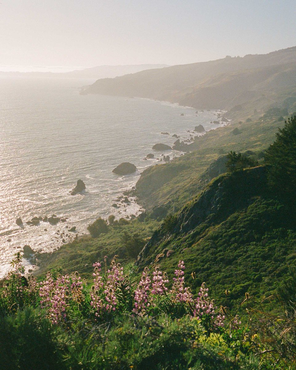 Leica_UK's tweet photo. A relaxing #FilmWeek feature, Jakob Lilja-Ruiz in San Francisco Bay.

"Film photography has pulled me away from normal life for the last 4 years. The pursuit of culture and landscape really dominates my mind as I see places constantly changing in front of me."

#LeicaM6 https://t.co/ExzlGmMLWz