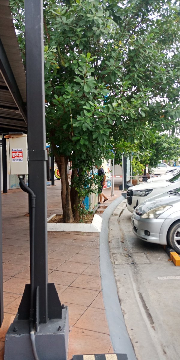 Ton65509860's tweet photo. พนง.เก็บค่าเข้าห้องน้ำ ค่ายืนโถฉี
ปตท.แห่งหนึ่ง https://t.co/tNm3kLblAT