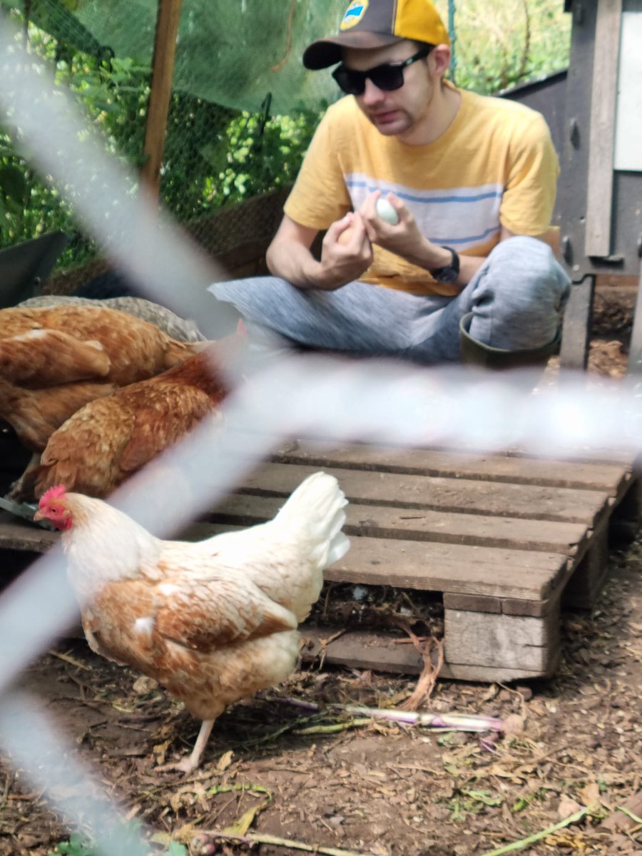 Cascade_Cohen's tweet image. Tom visited Fields of Joy yesterday and enjoys sitting with all the different animals. 
Tom read a book to the cats and shows the pictures. 📚🐈🐓
#Communityactivity 
#readingandlearning