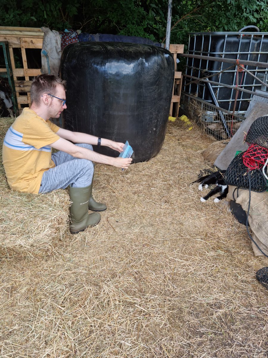 Cascade_Cohen's tweet image. Tom visited Fields of Joy yesterday and enjoys sitting with all the different animals. 
Tom read a book to the cats and shows the pictures. 📚🐈🐓
#Communityactivity 
#readingandlearning