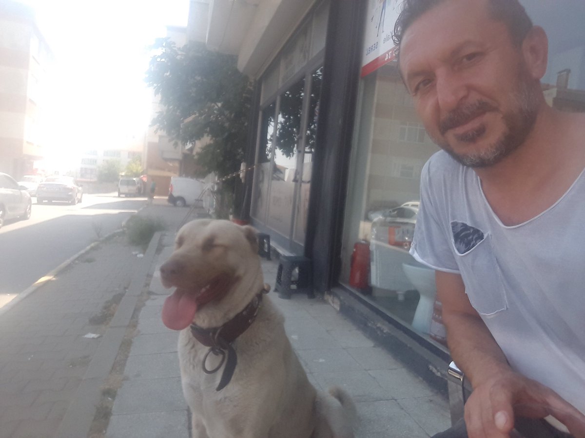 HasanAlpern's tweet photo. Mekanin sahibi geldi guzel dostum https://t.co/uleJa2z4PB